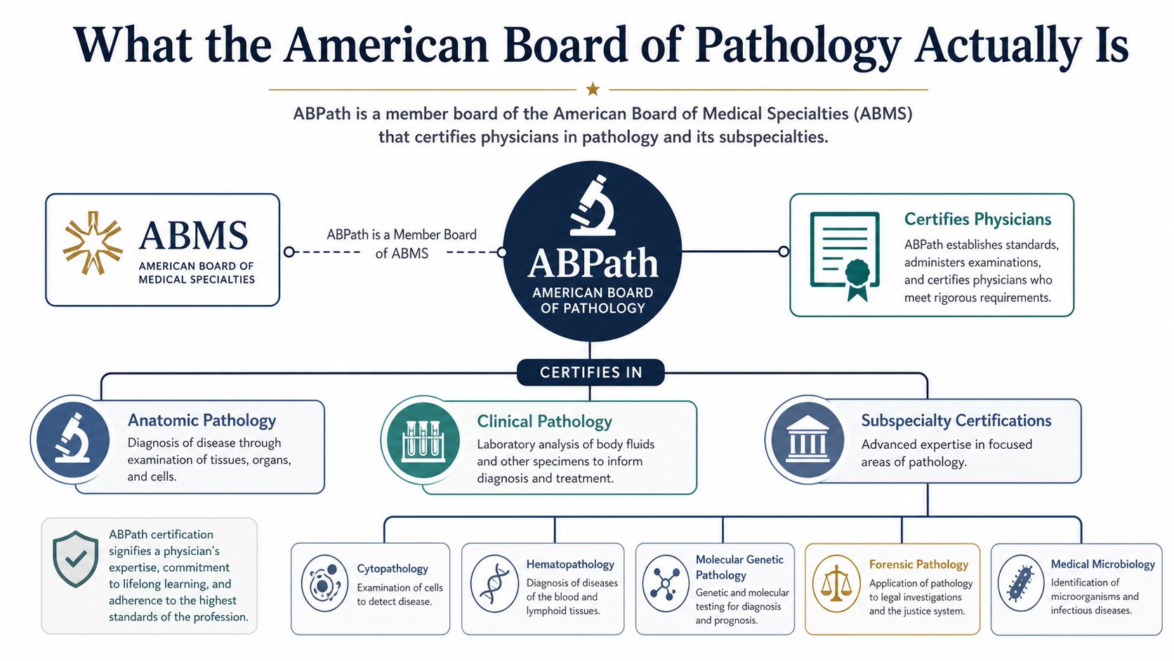 An infographic titled What the American Board of Pathology Actually Is, outlining the organization's structure and certifications.