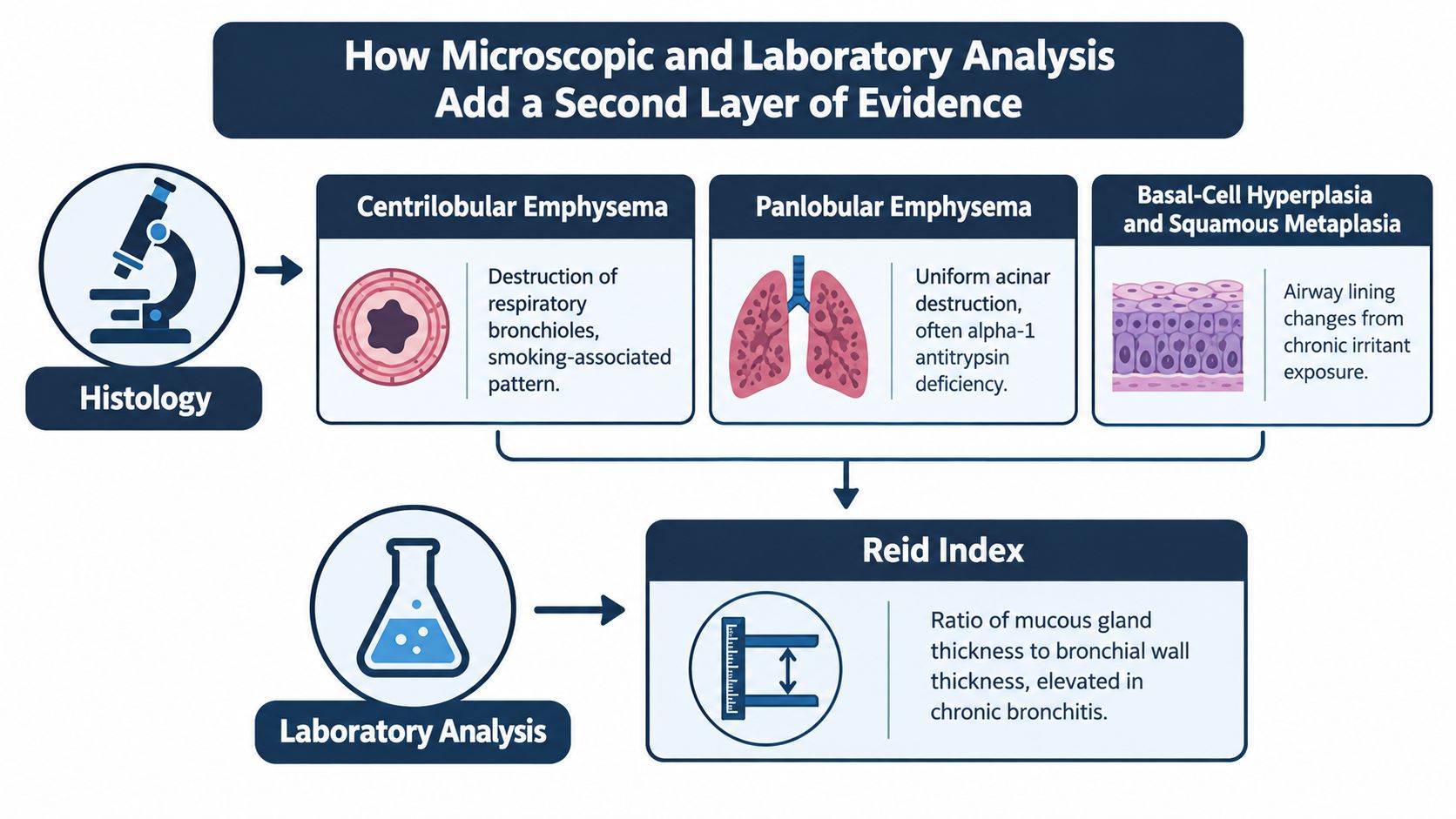 A diagram explaining how histological and laboratory analysis of lung tissue provides diagnostic evidence for respiratory diseases.
