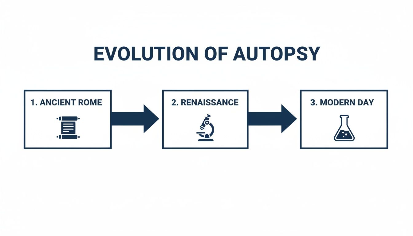 Infographic detailing the evolution of autopsy from Ancient Rome to modern day, with key icons.