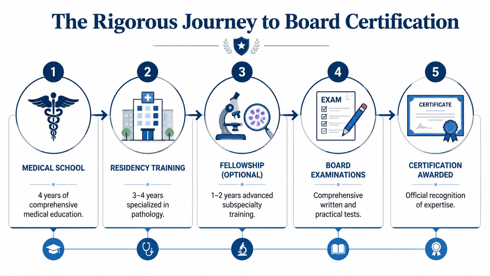 A diagram illustrating the five-step process of becoming a board certified pathologist through medical training and testing.