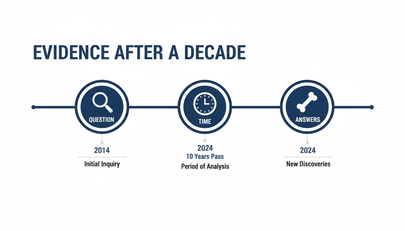 Timeline infographic showing 'Evidence After a Decade,' from initial inquiry in 2014 to new discoveries in 2024.