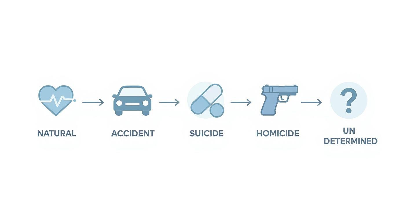 Diagram showing five manners of death: natural, accident, suicide, homicide, and undetermined with icons