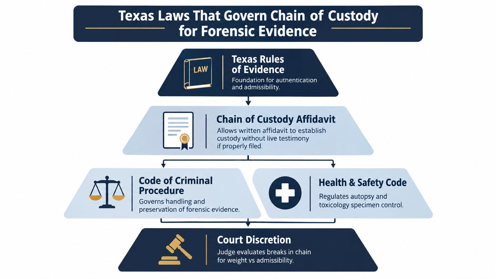 An infographic titled Texas Laws That Govern Chain of Custody for Forensic Evidence, illustrating the legal framework.