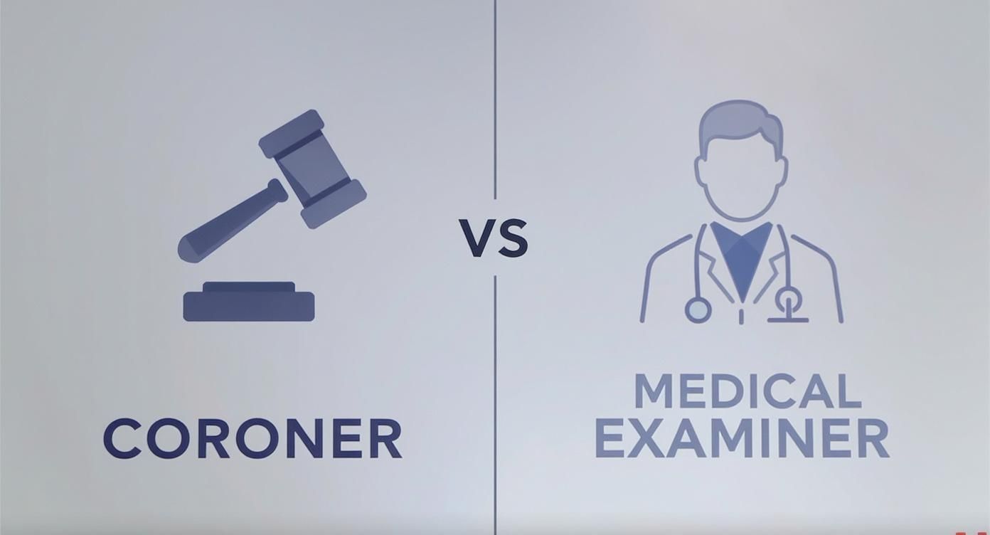 Infographic about difference between coroner and medical examiner