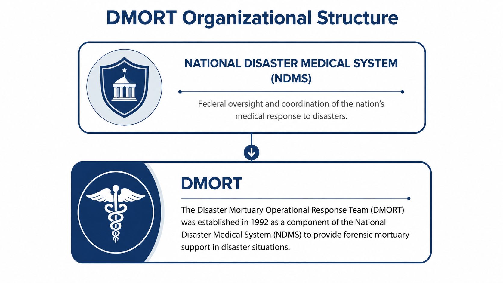 A diagram illustrating the organizational structure of the Disaster Mortuary Operational Response Team within the NDMS.