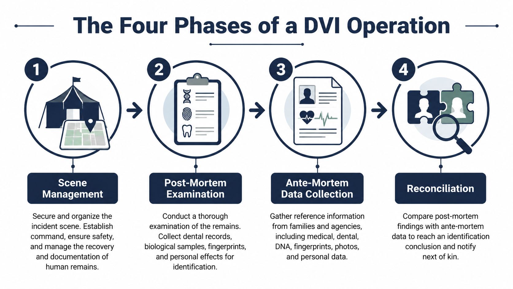 A diagram illustrating the four phases of a Disaster Victim Identification (DVI) operation from recovery to identification.
