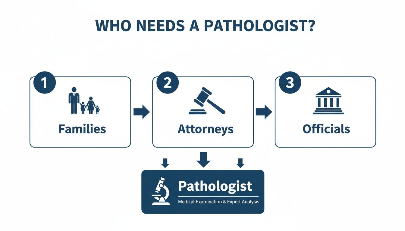 Flowchart showing who needs a pathologist: families, attorneys, and officials, all requiring medical examination and expert analysis.
