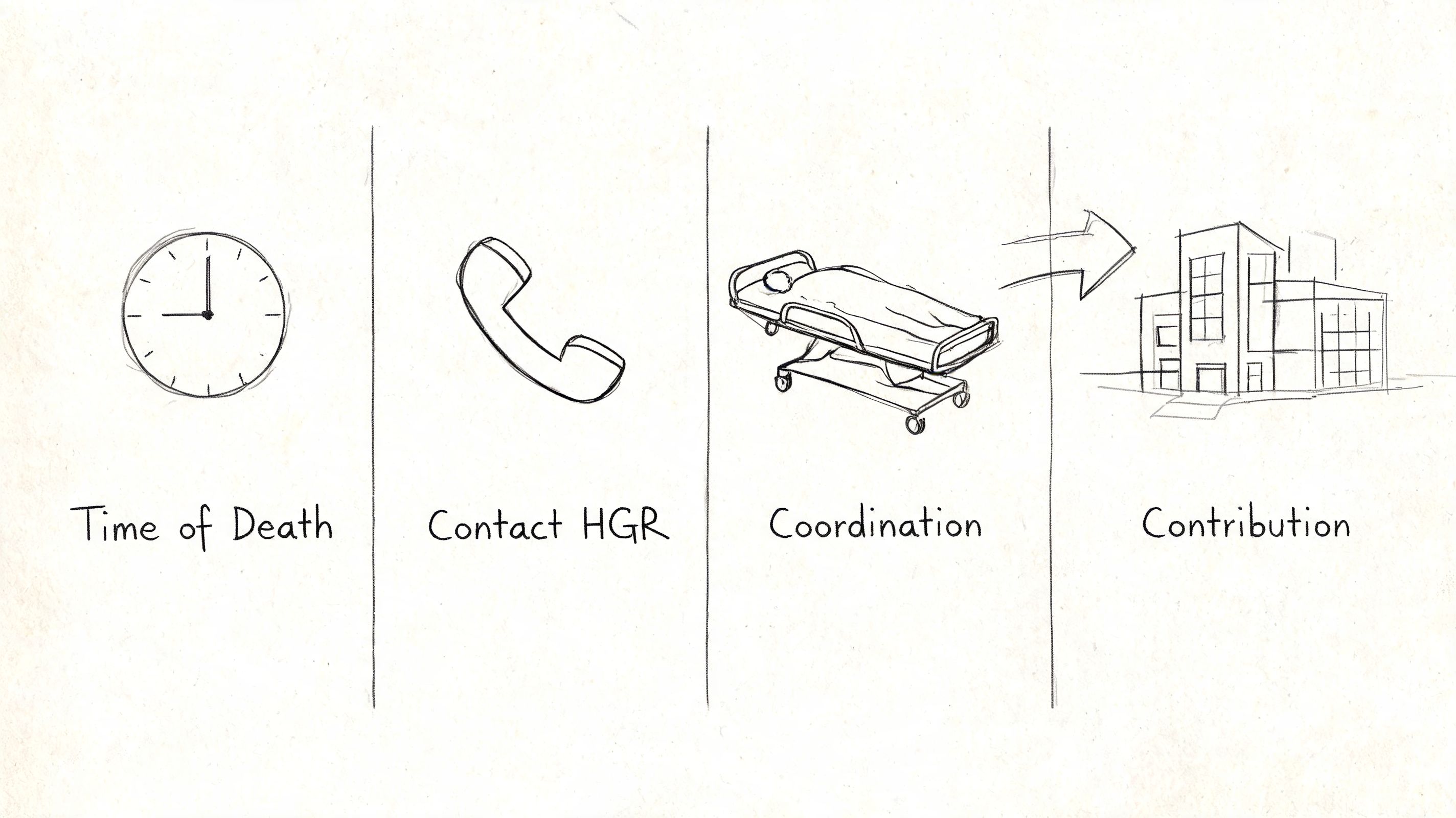 A line drawing showing the four-step process for donating a body to science in Pennsylvania.