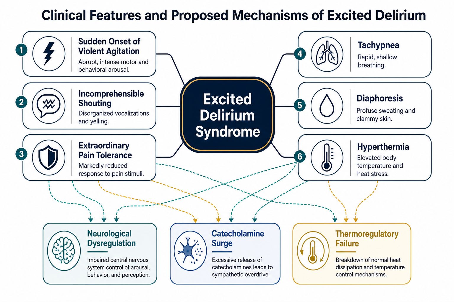A diagram illustrating the clinical features and proposed biological mechanisms of Excited Delirium Syndrome.