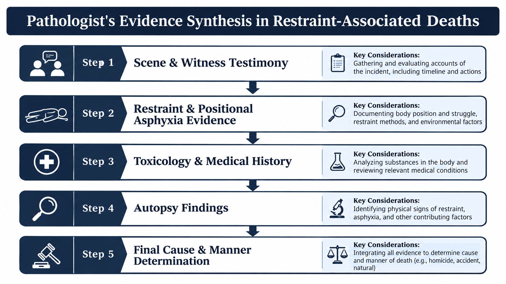 A flowchart detailing the five-step process pathologists use for evidence synthesis in restraint-associated deaths.