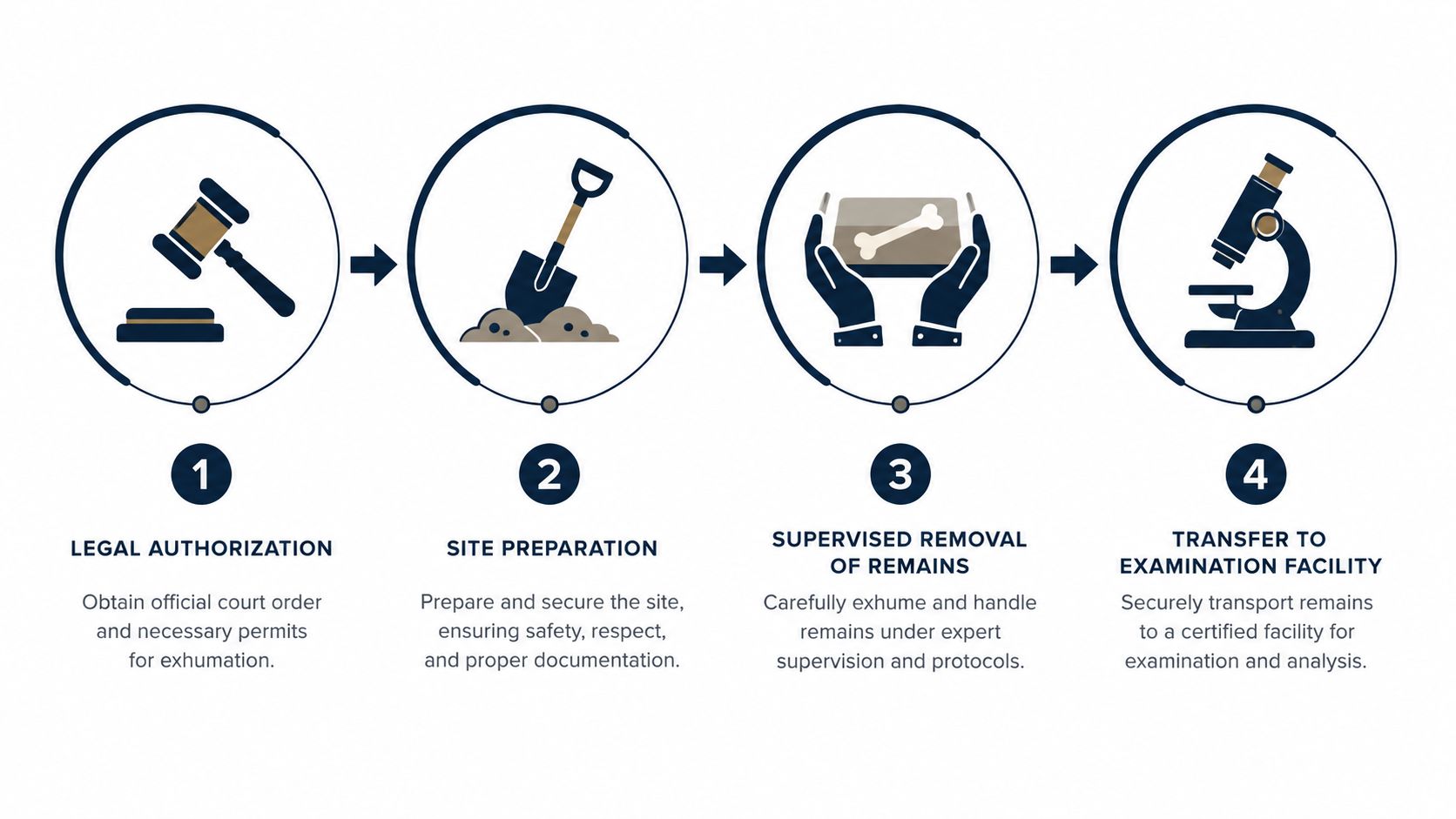 A four-step infographic illustrating the professional process of legal exhumation, from authorization to forensic examination.