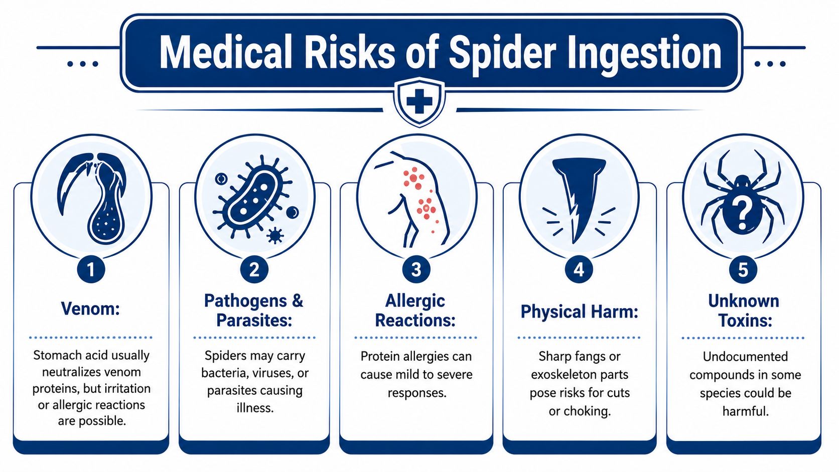 An infographic titled Medical Risks of Spider Ingestion, outlining five potential health hazards of eating spiders.