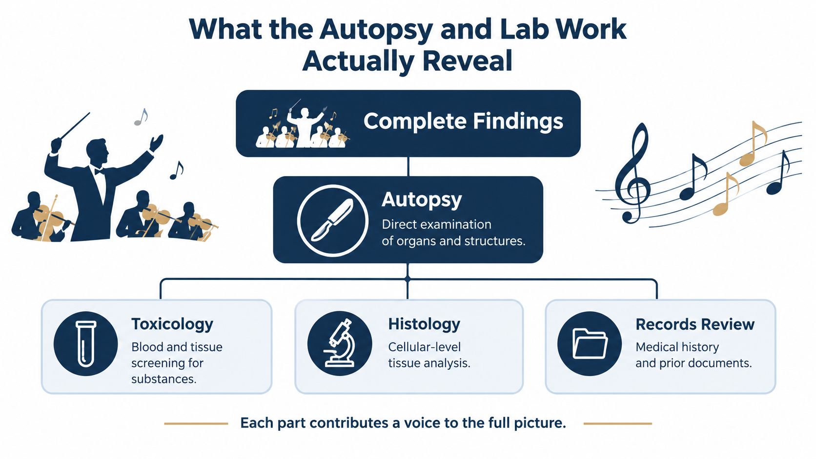 A diagram illustrating the components of a death investigation including autopsy, toxicology, histology, and records review.