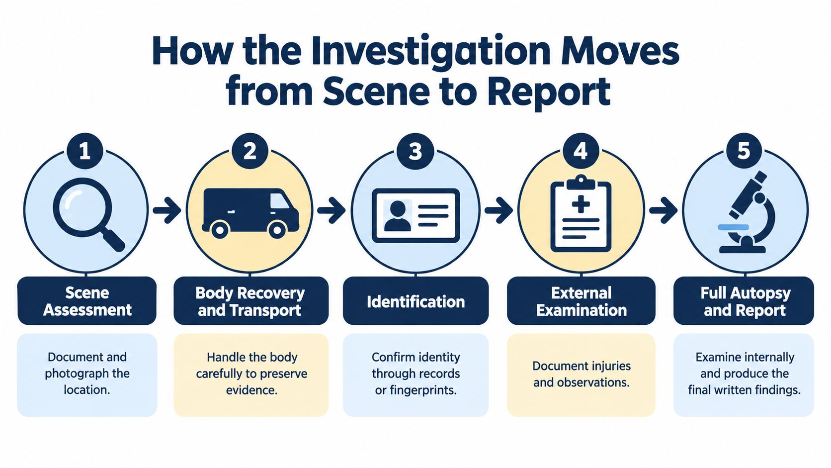 A flowchart showing five steps of a forensic death investigation, from scene assessment to autopsy and final reporting.