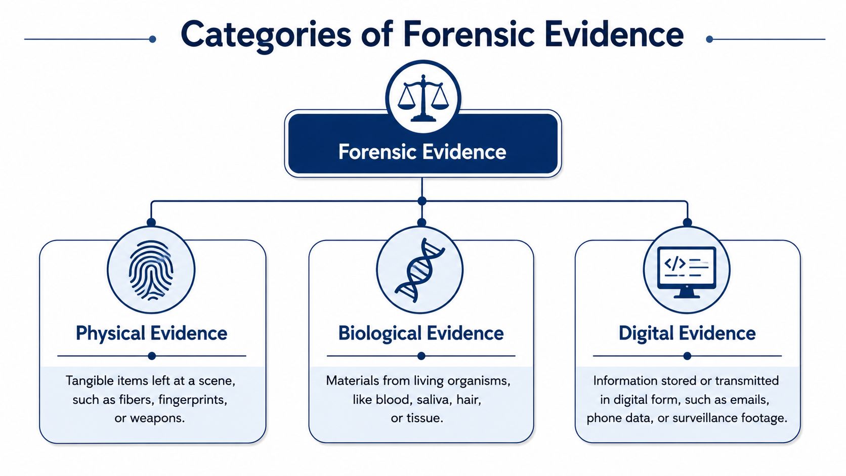 A diagram illustrating the three main categories of forensic evidence: physical, biological, and digital, with short descriptions.