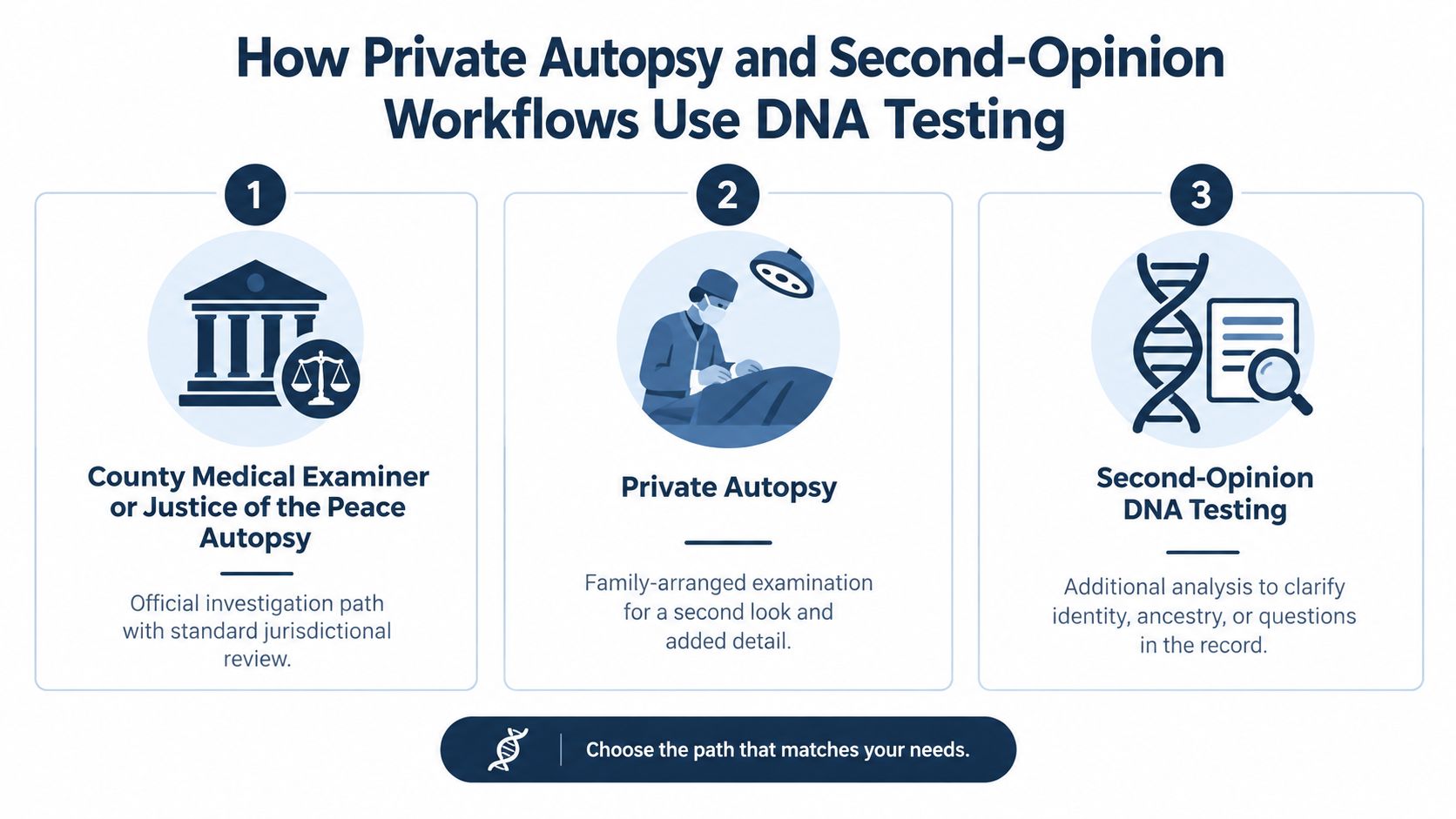A diagram illustrating three distinct pathways for autopsy and DNA testing procedures, including official and private options.