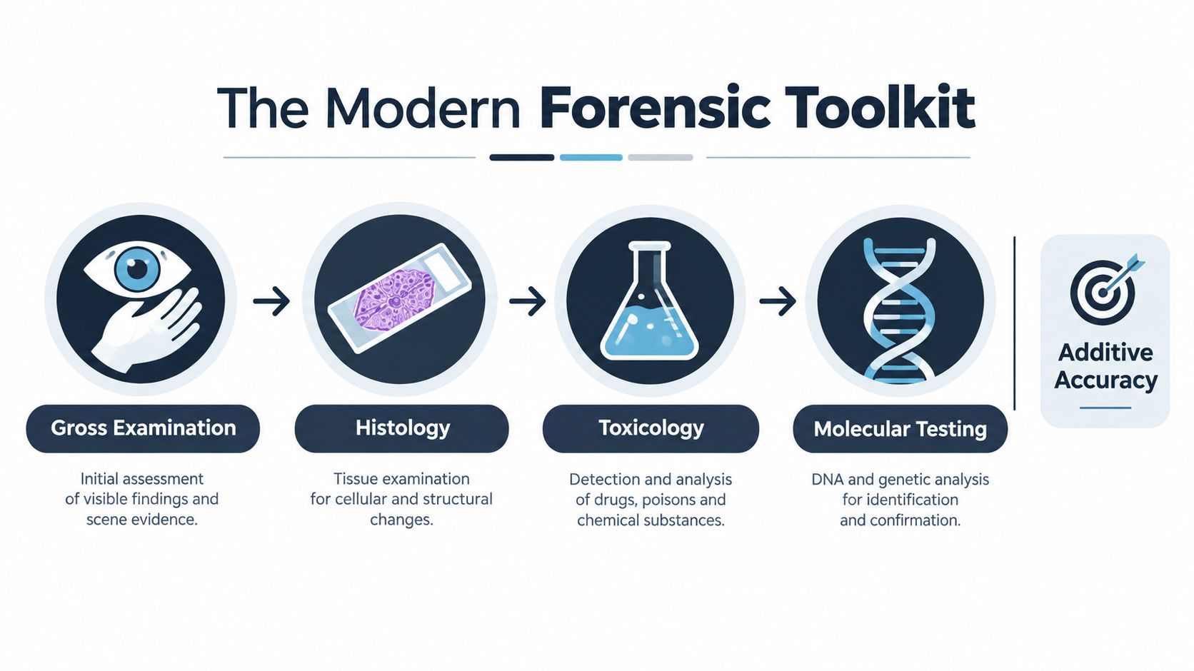 An infographic showing the modern forensic toolkit process from gross examination to histology, toxicology, and molecular testing.