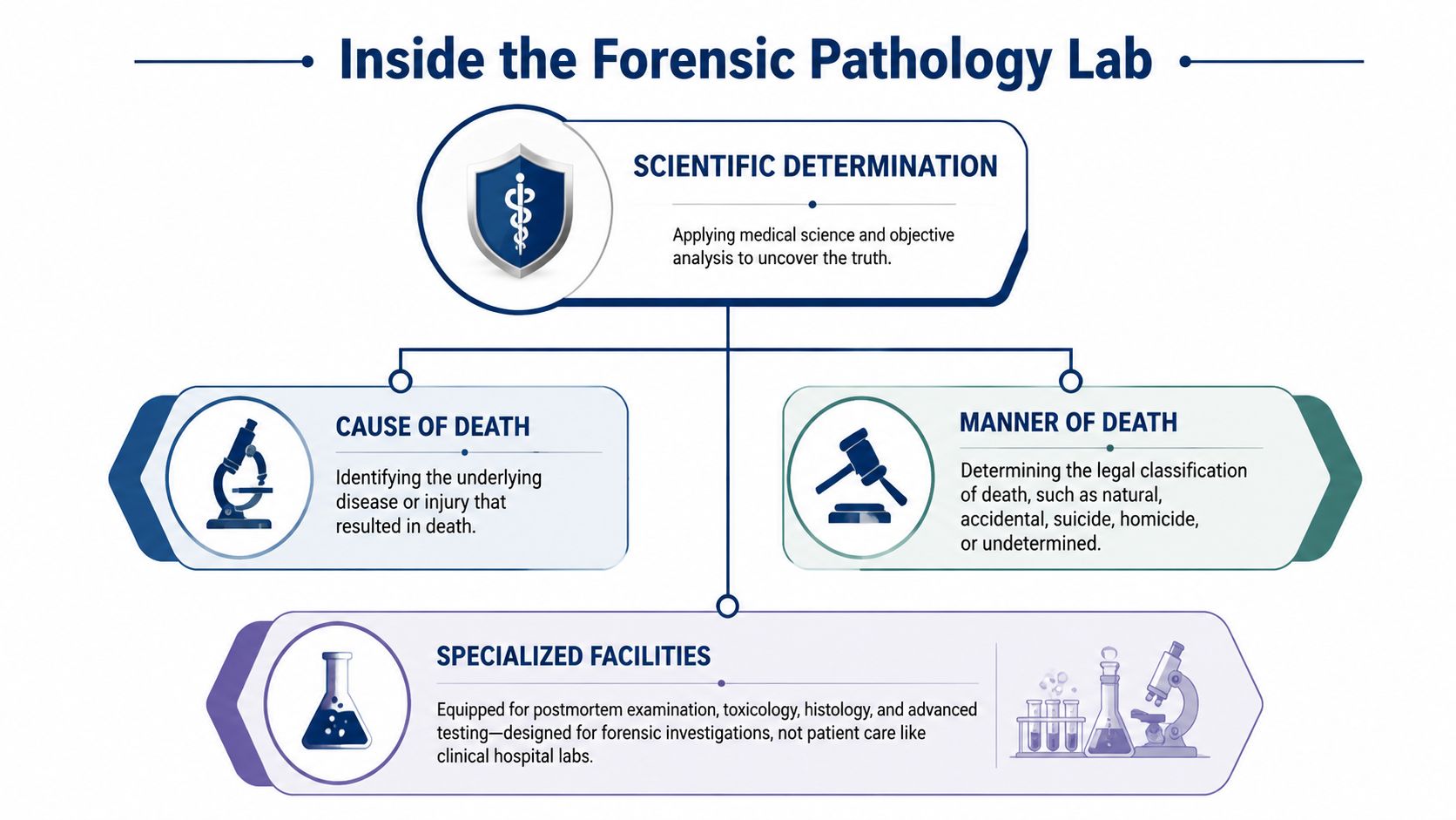 A diagram illustrating the core components of a forensic pathology lab, including cause, manner, and specialized facilities.