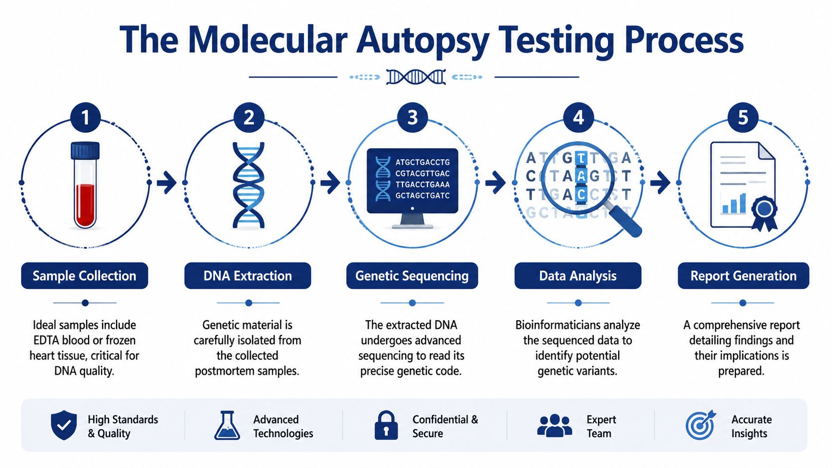 A step-by-step infographic illustrating the five stages of the molecular autopsy genetic testing process.