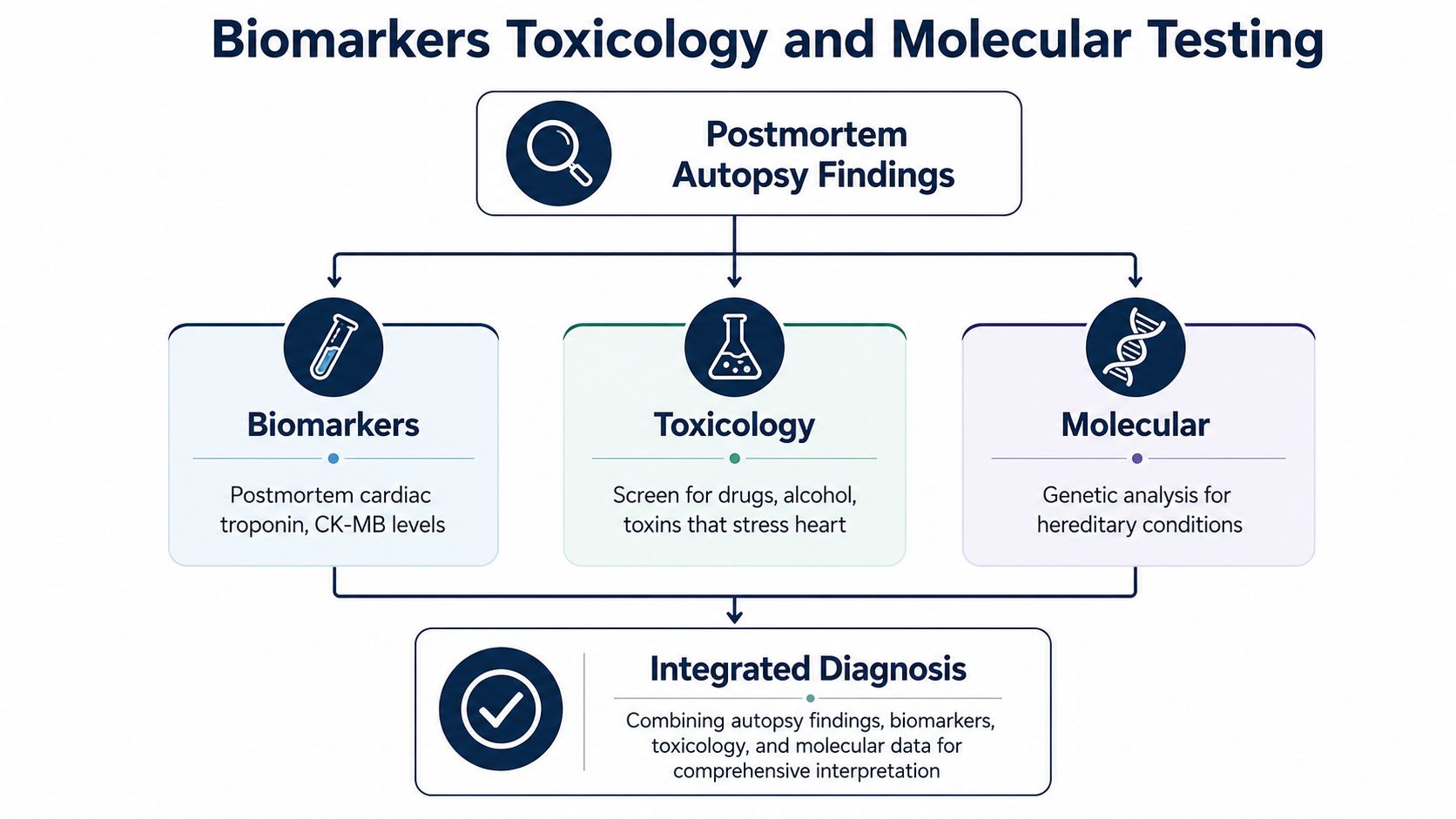 A diagram illustrating the process of combining autopsy, biomarkers, toxicology, and molecular testing for heart attack diagnosis.