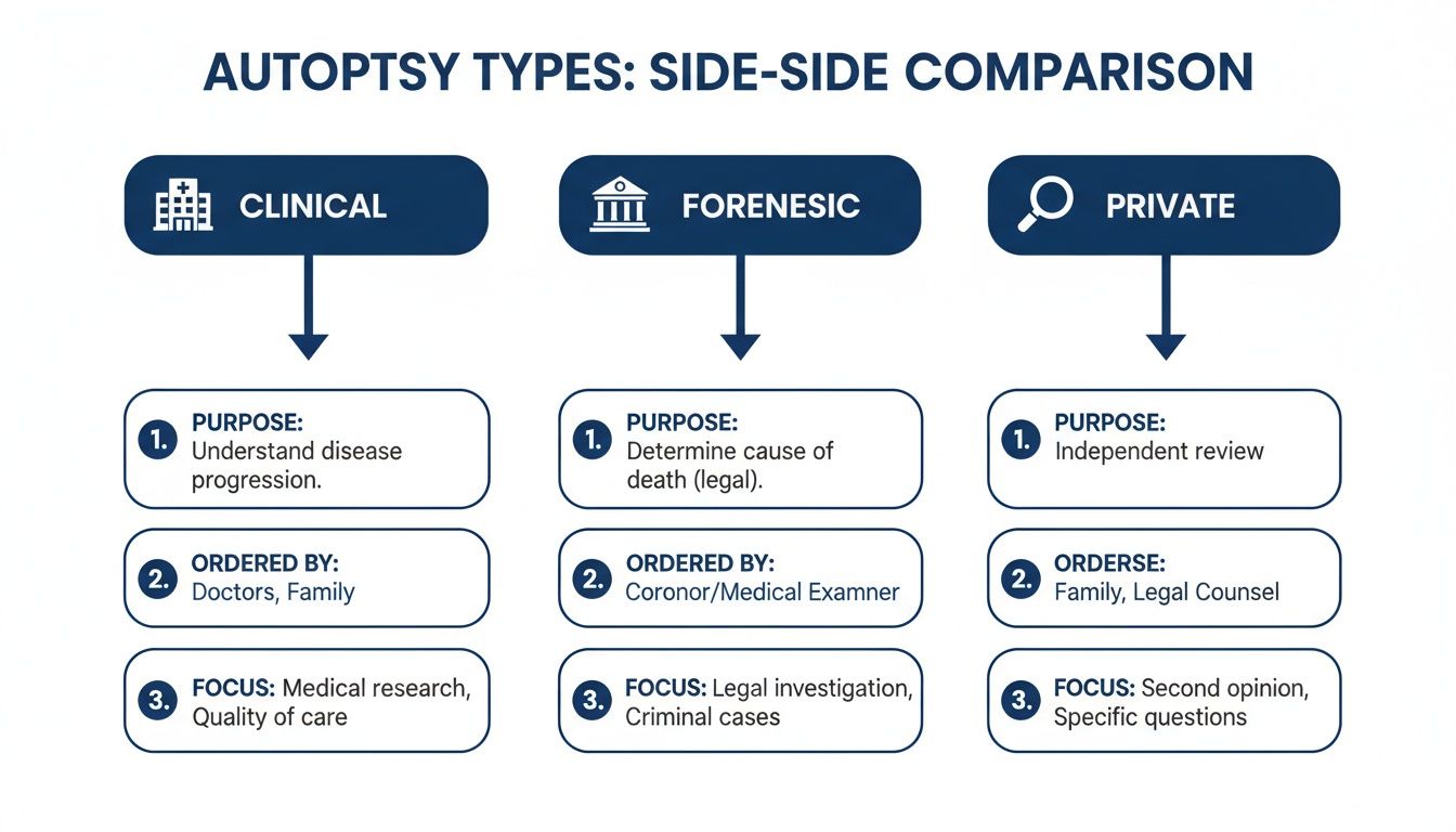 A side-by-side comparison chart of three autopsy types: Clinical, Forensic, and Private, detailing their purpose, ordering parties, and focus.