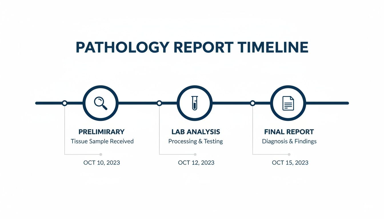 A pathology report timeline illustrating three stages: preliminary, lab analysis, and final report with dates.