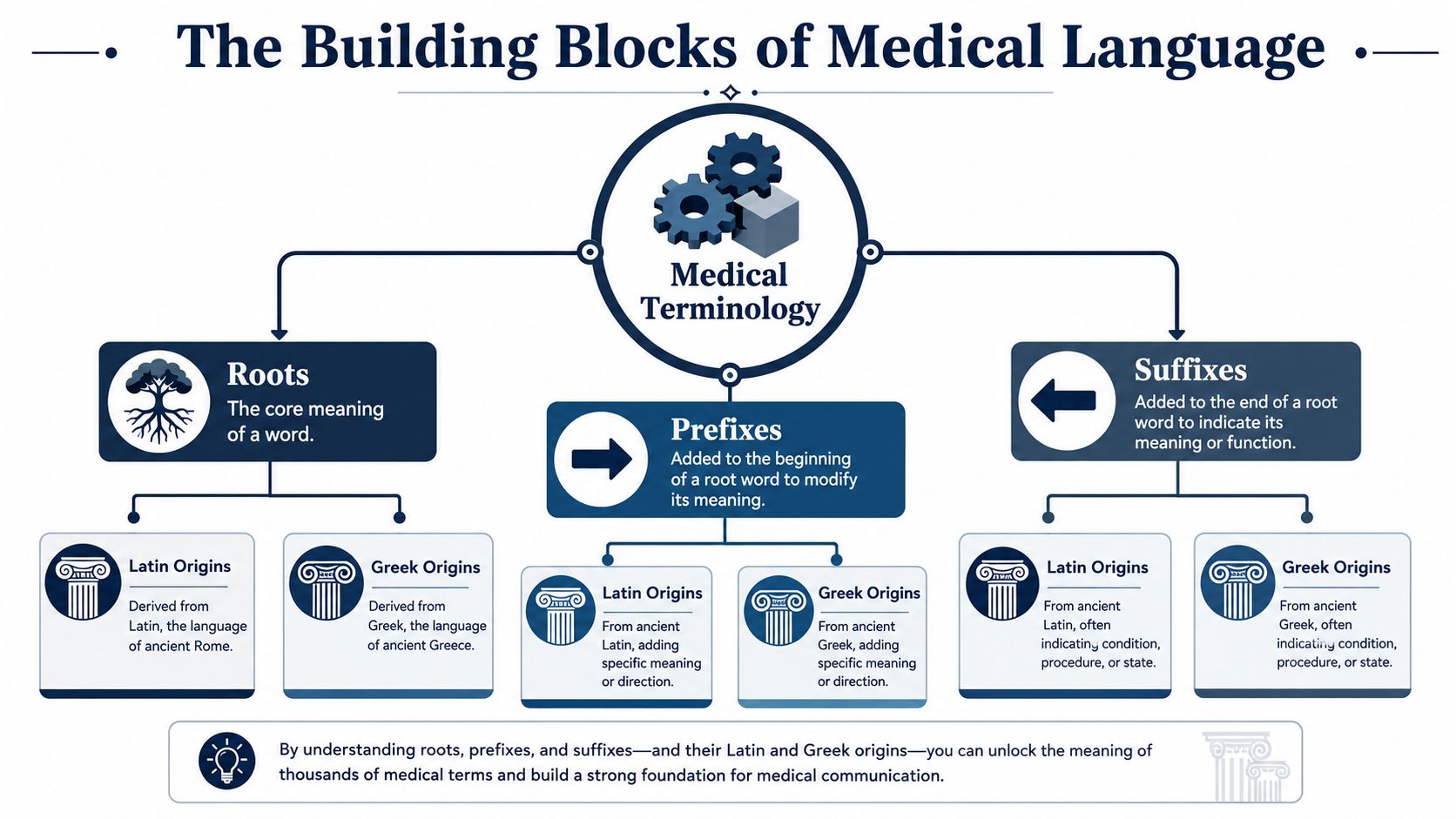 A diagram illustrating the three building blocks of medical language: roots, prefixes, and suffixes with their origins.