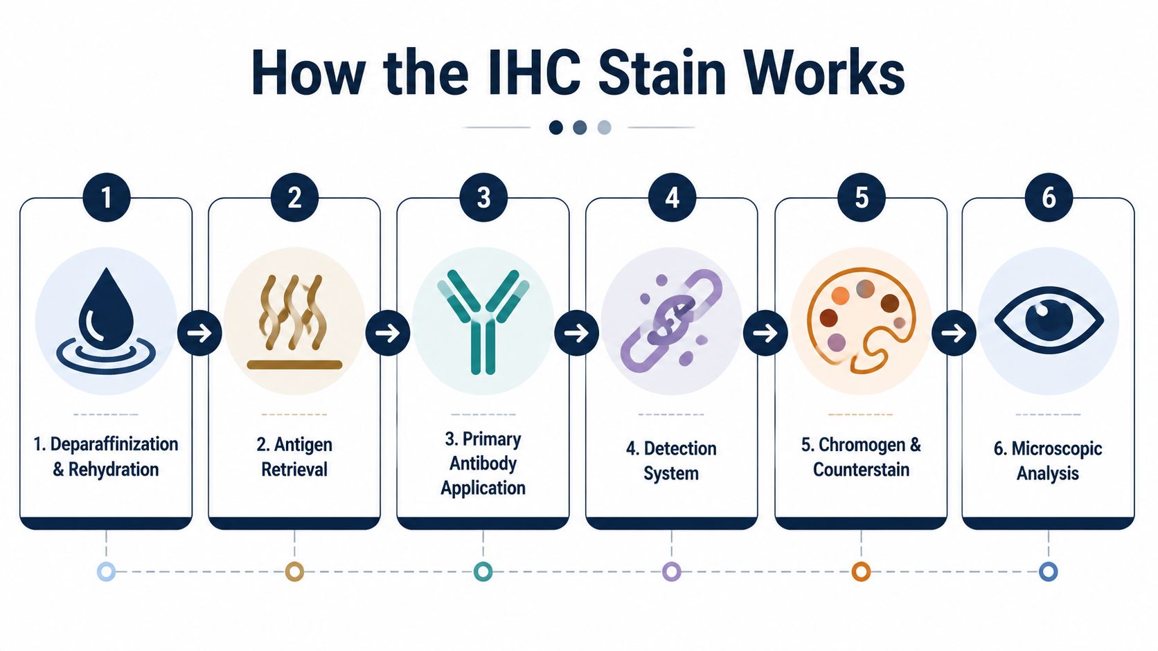 A six-step infographic illustrating the sequential process of an immunohistochemistry staining procedure for medical laboratory analysis.