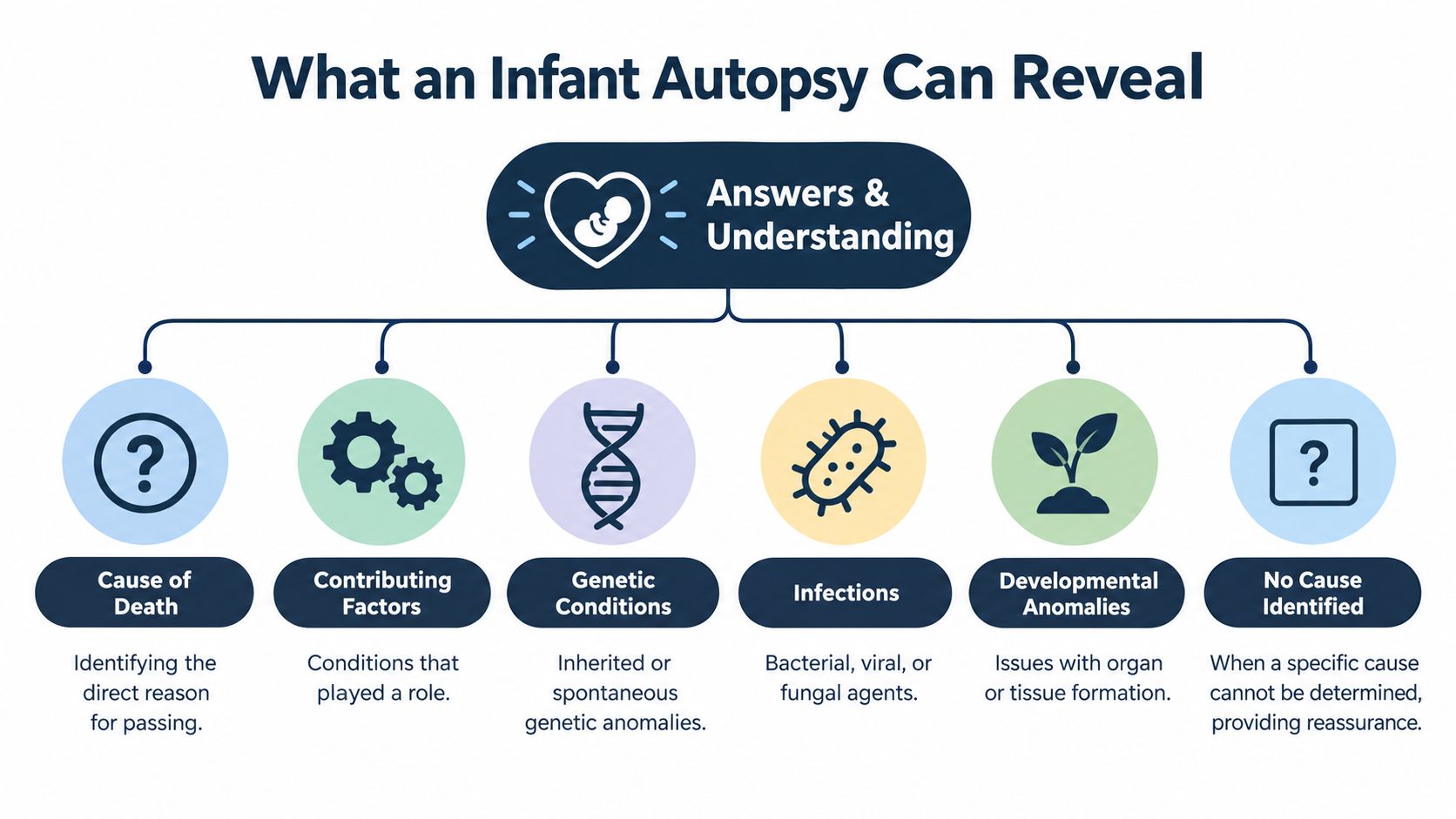 A diagram illustrating the various findings an infant autopsy can provide, including causes and contributing factors.