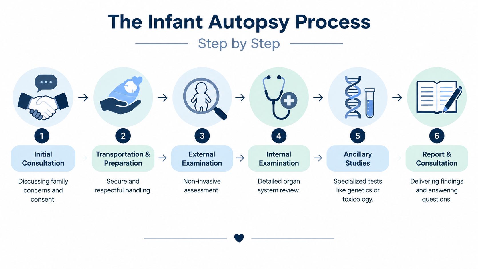 A six-step infographic illustrating the infant autopsy process, from initial consultation to final report and consultation.