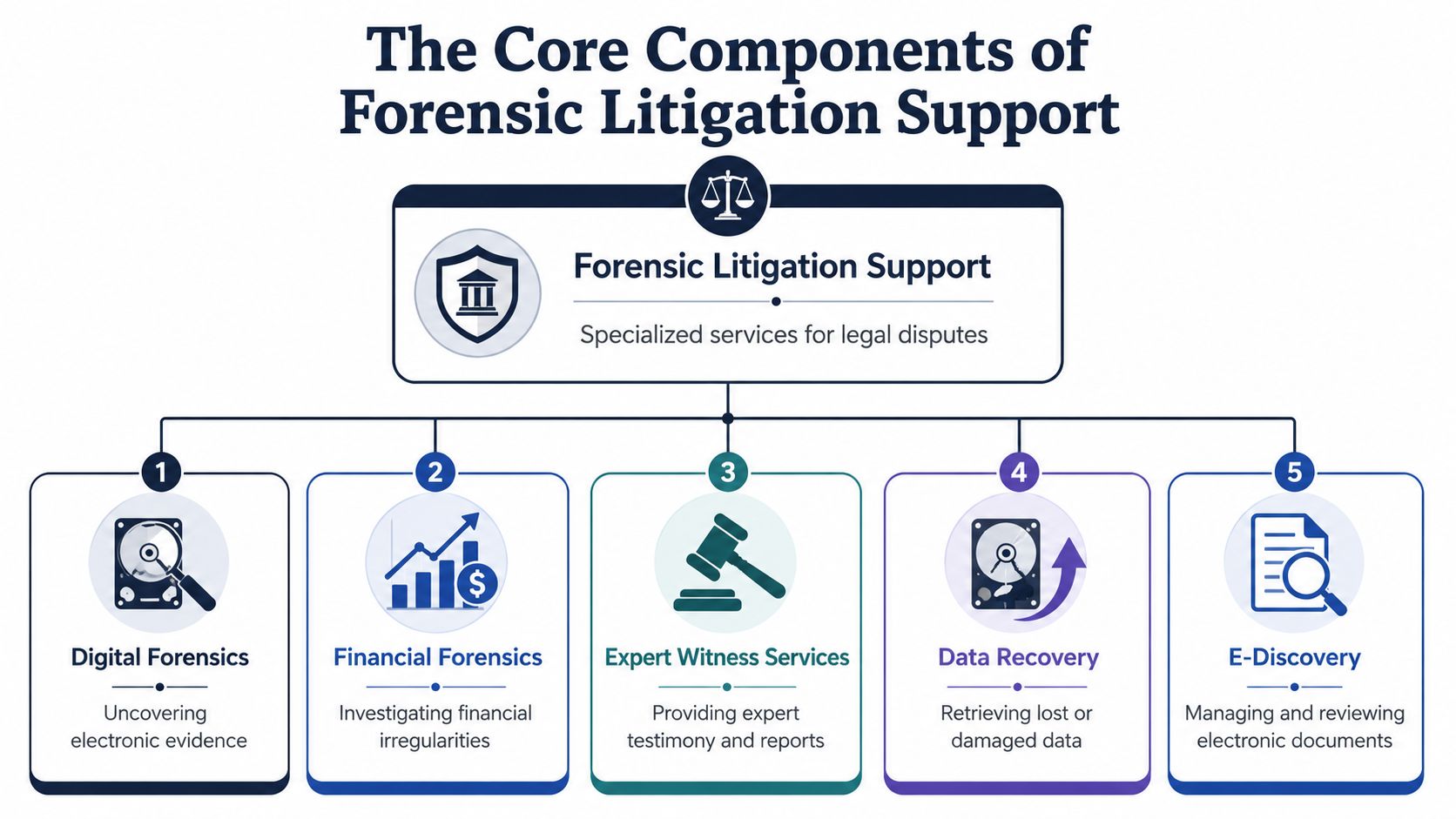 A diagram illustrating the five core components of forensic litigation support services for legal disputes.