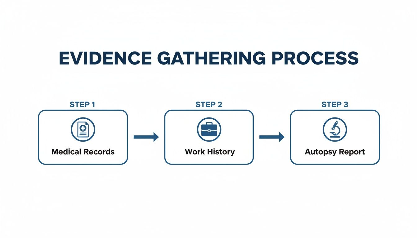 A flowchart titled 'Evidence Gathering Process' showing three steps: Medical Records, Work History, and Autopsy Report.