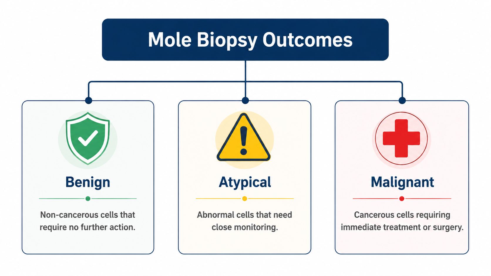 A diagram illustrating the three potential results of a mole biopsy: benign, atypical, and malignant.