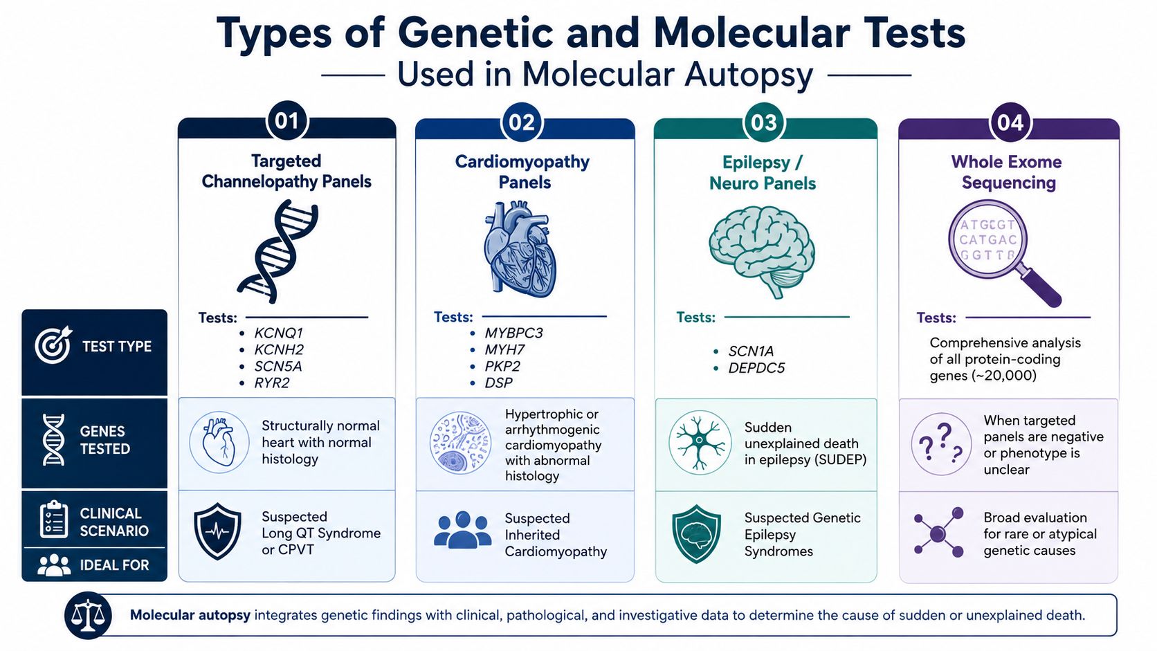 An infographic showing four types of genetic and molecular tests used for conducting a molecular autopsy.