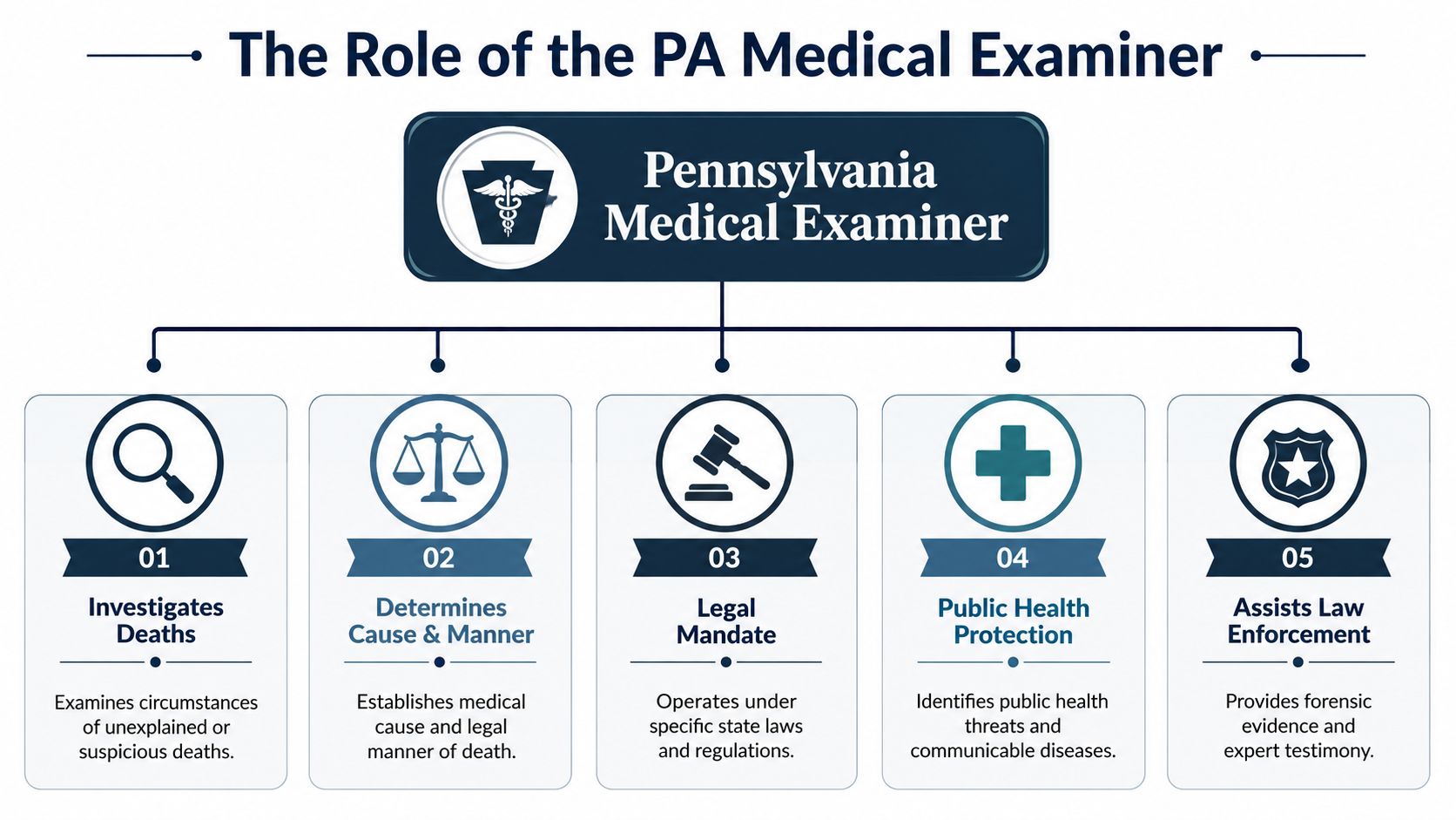 An infographic titled The Role of the PA Medical Examiner detailing five key responsibilities with icons.