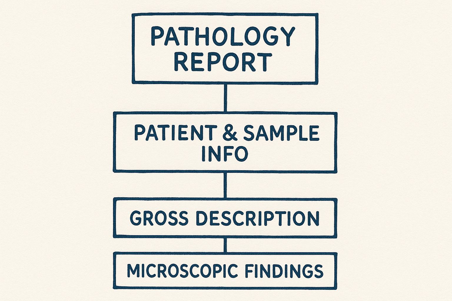 Infographic about pathology report meaning
