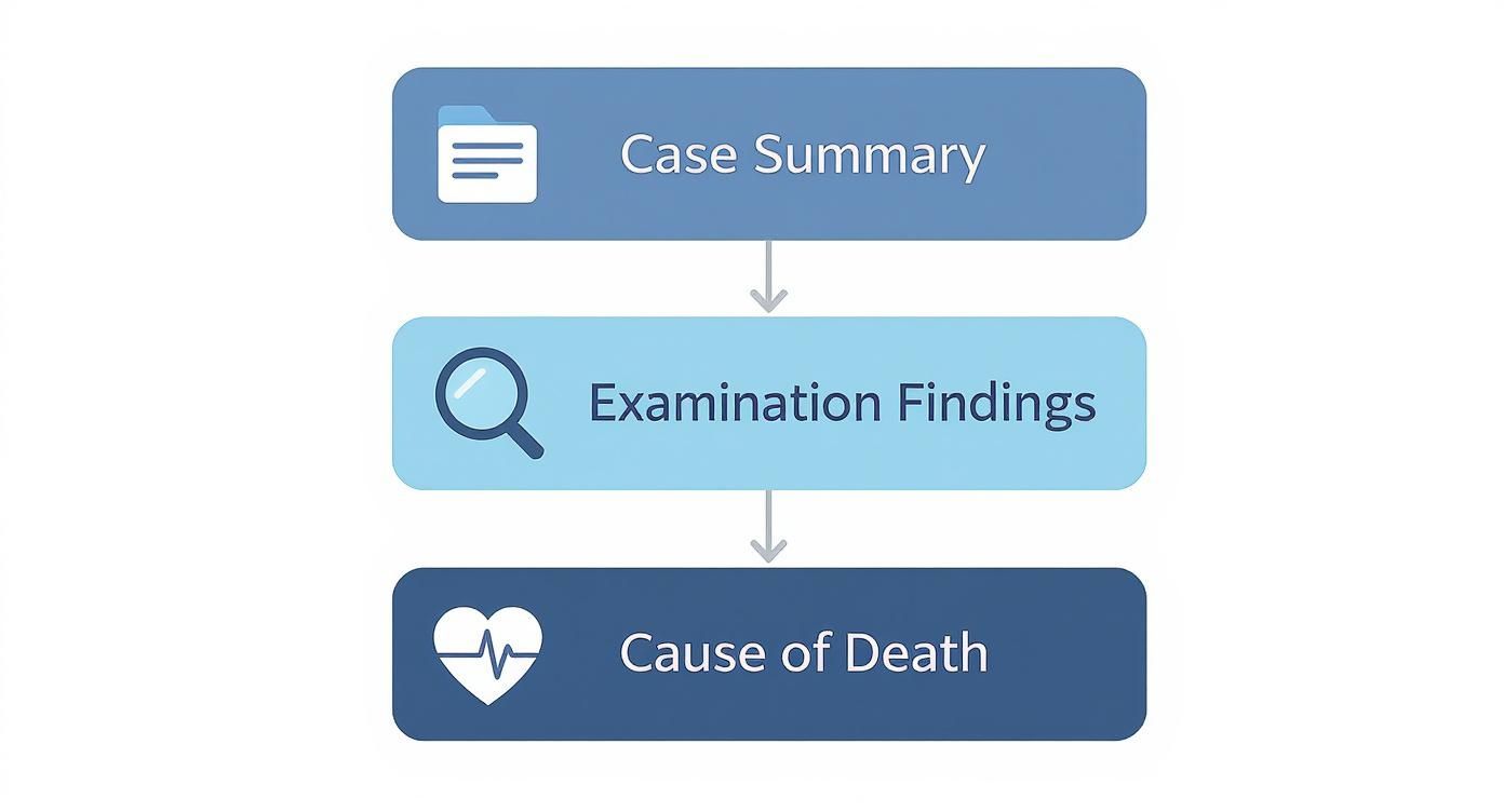 Flowchart illustrating the process of a pathology report: Case Summary, Examination Findings, Cause of Death.