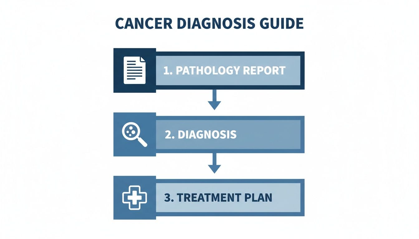 A flowchart illustrating the cancer diagnosis guide, from pathology report to diagnosis and treatment plan.