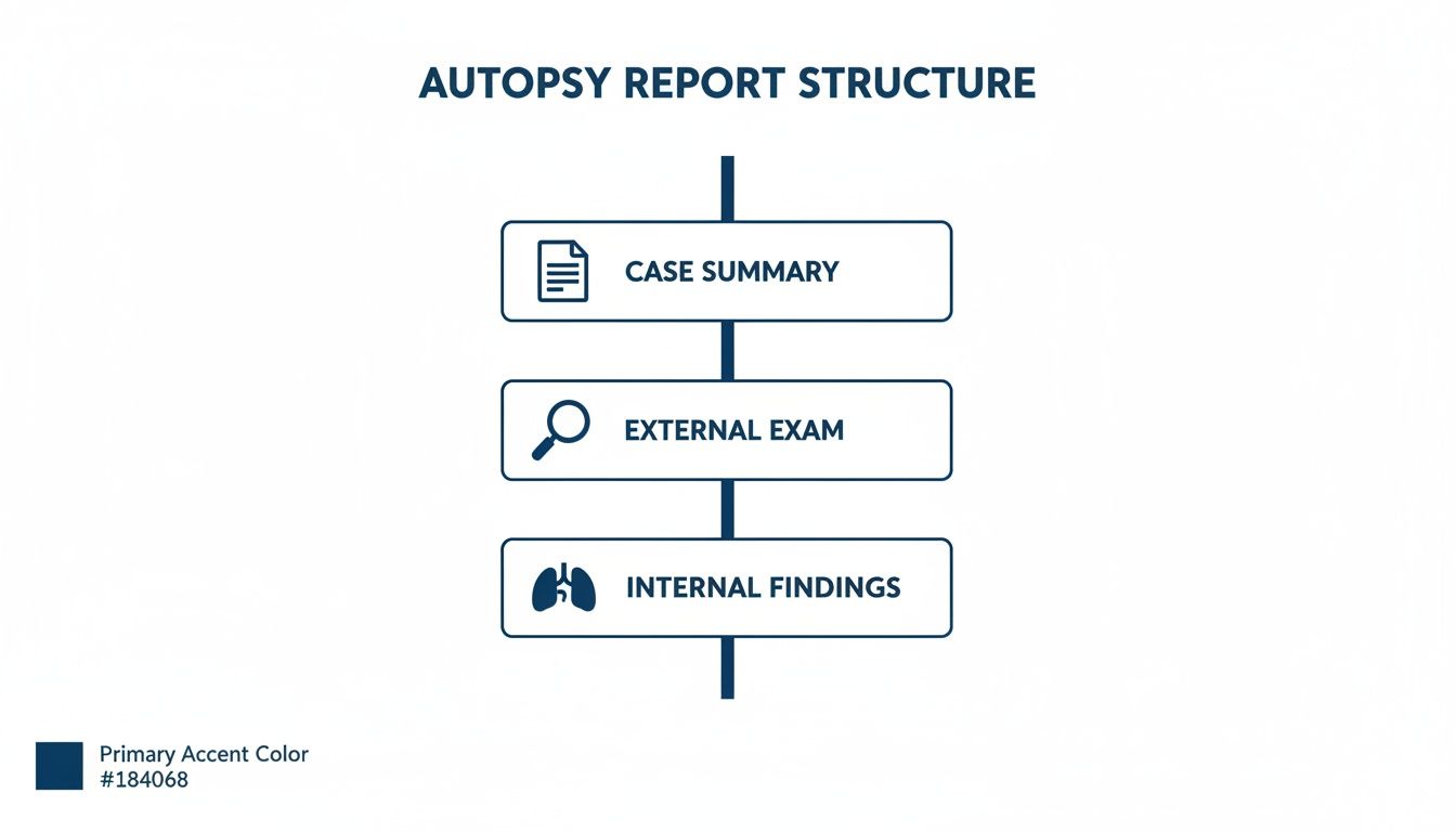 An infographic showing the autopsy report structure with sections for case summary, external exam, and internal findings.
