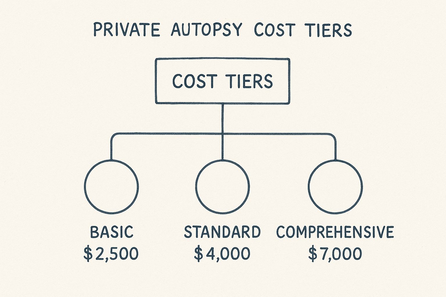 Infographic about private autopsy cost