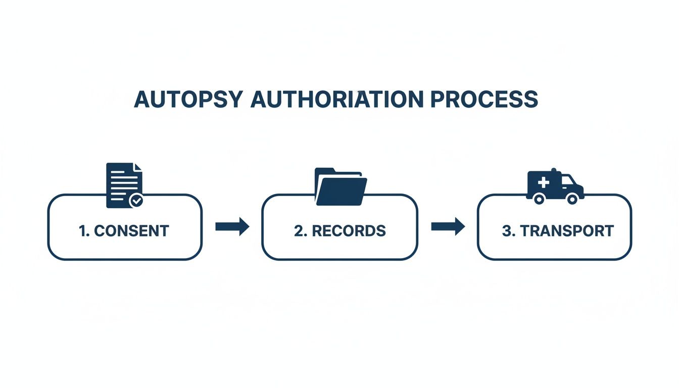 Flowchart detailing the autopsy authorization process, including consent, records, and transport steps.