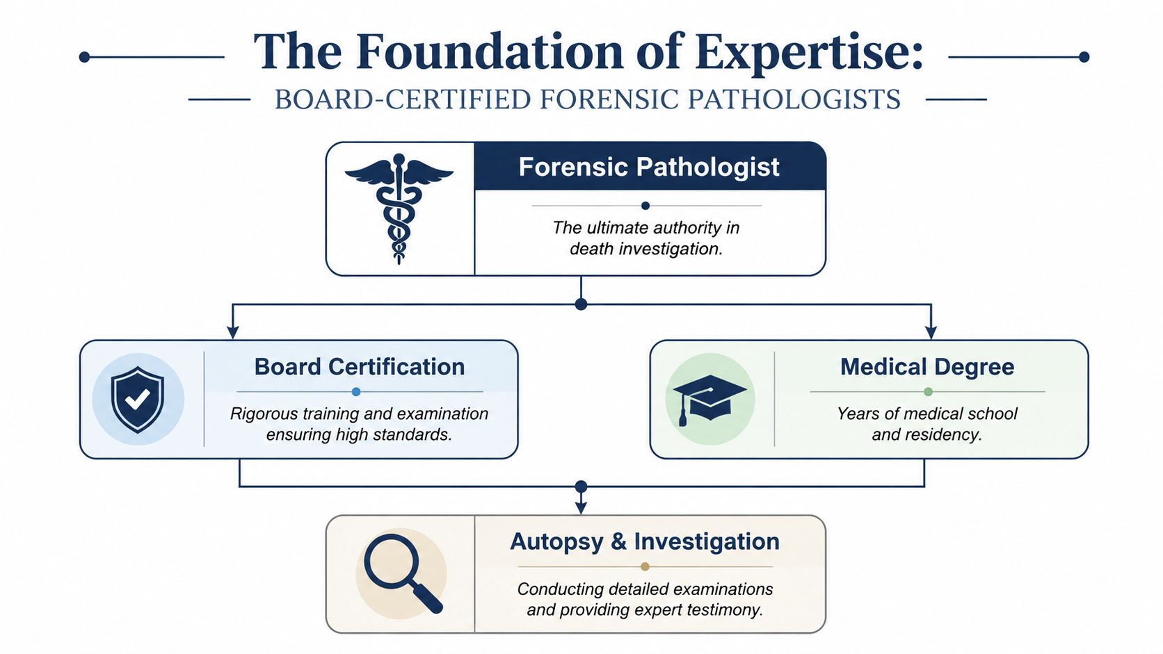 A flowchart infographic titled The Foundation of Expertise showing qualifications for board-certified forensic pathologists in medical investigation.