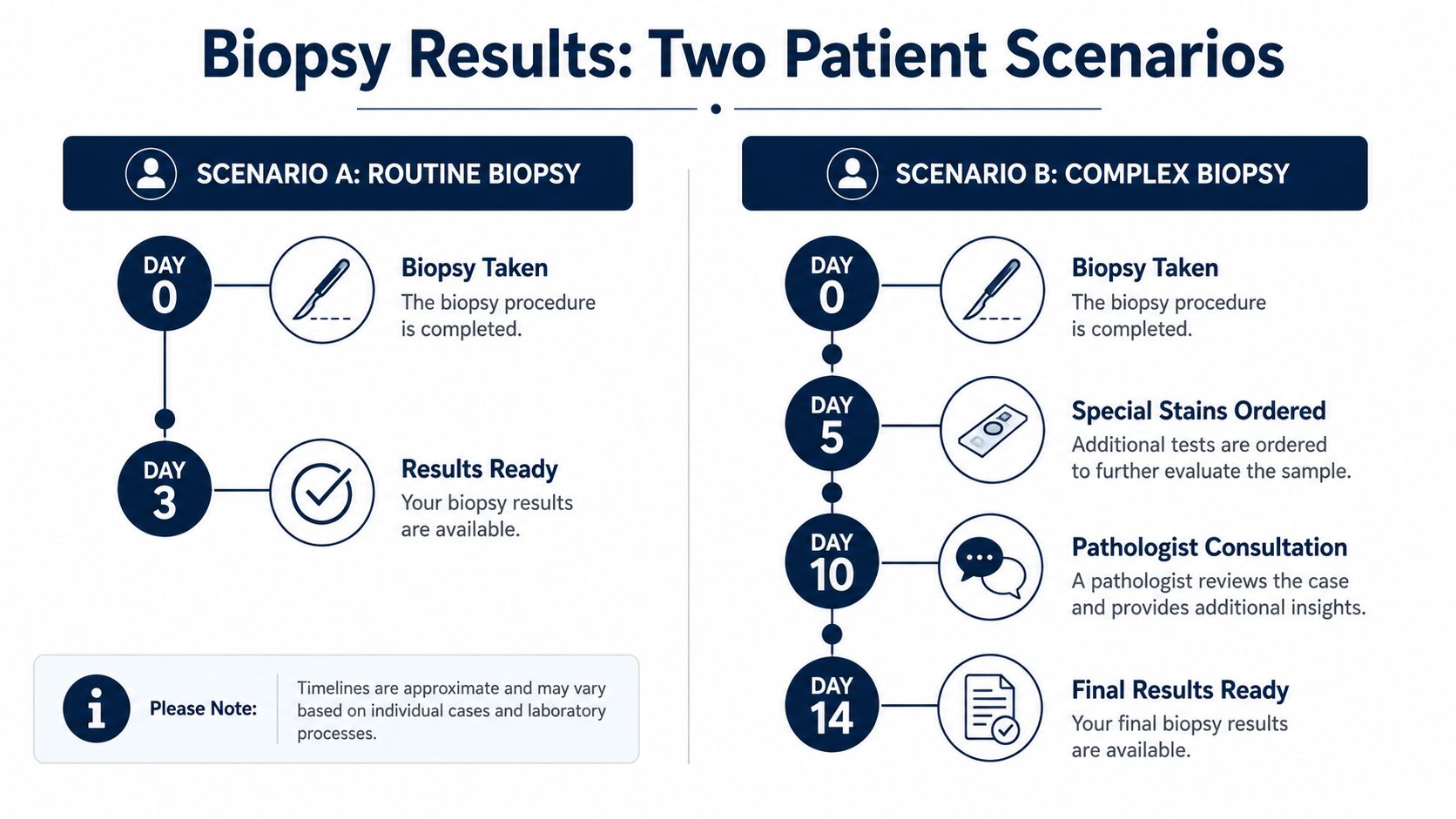 An infographic showing the estimated timelines for routine and complex skin biopsy results, from procedure to final report.