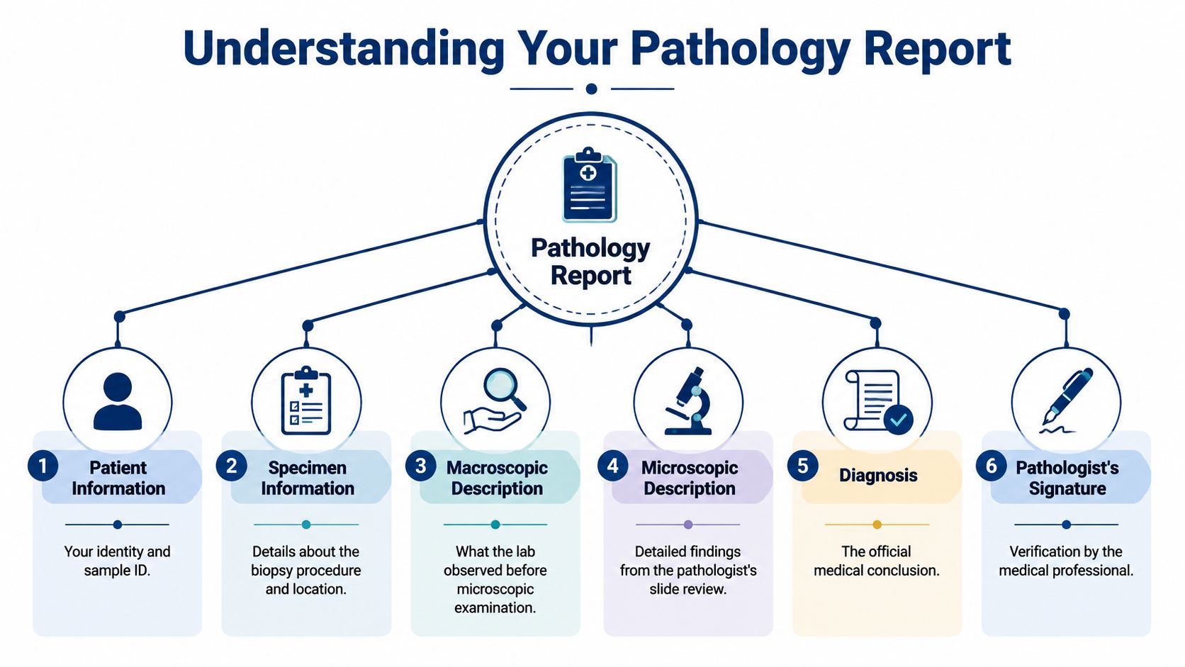 A flowchart infographic explaining the six key components of a medical pathology report for patients.