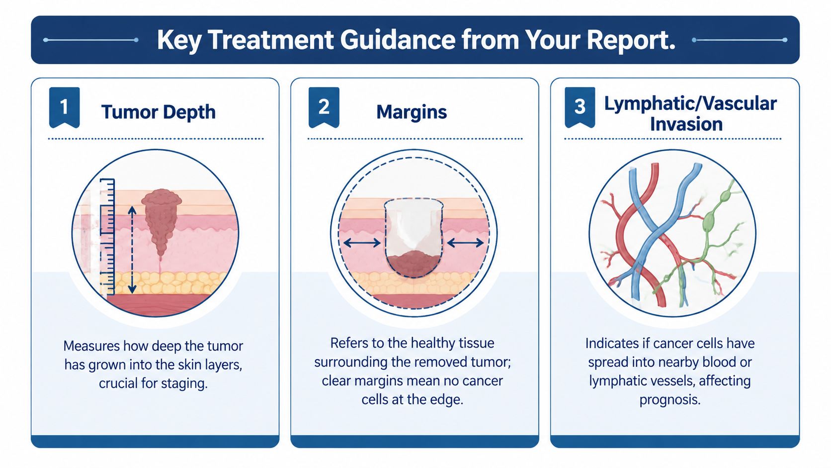 An educational infographic explaining three key aspects of skin cancer biopsy results: tumor depth, margins, and invasion.