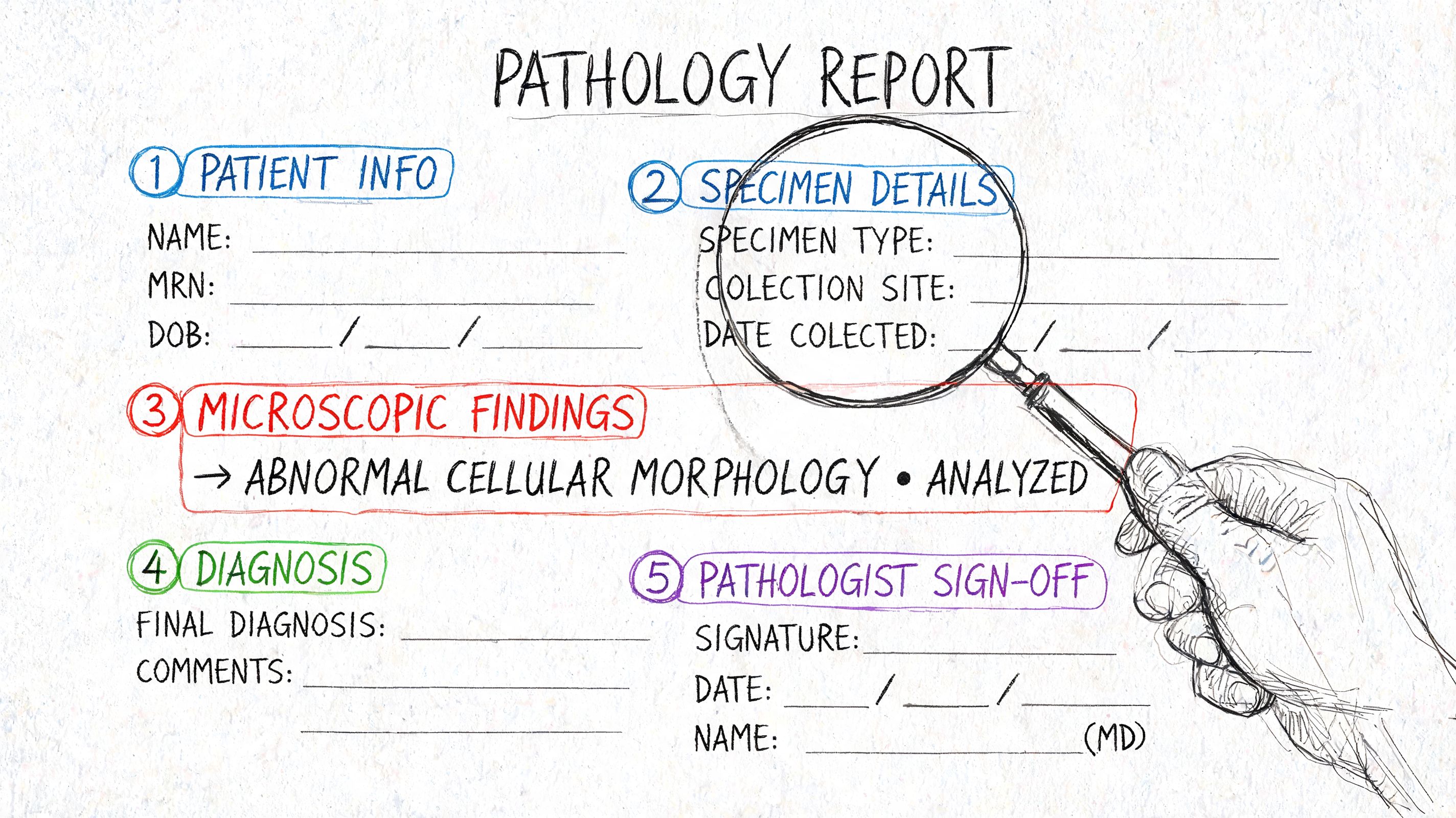 A hand-drawn illustration of a medical pathology report template featuring sections for patient info, specimen details, and diagnosis.