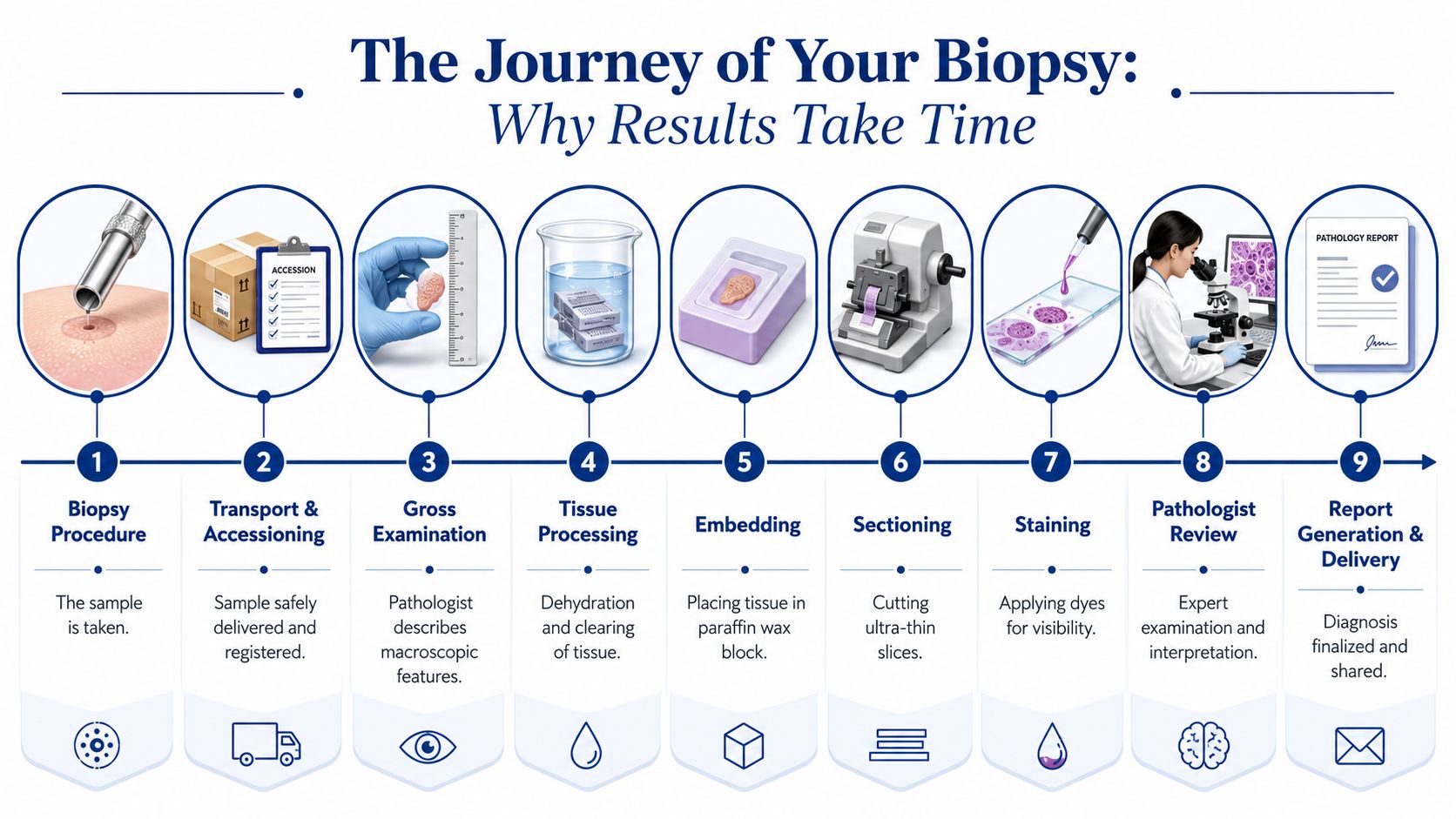 The Journey of Your Biopsy Why Results Take Time