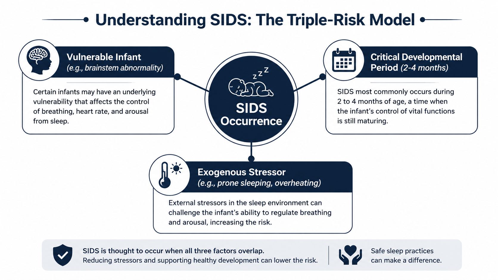 An infographic explaining the Triple-Risk Model for SIDS, showing how vulnerabilities, developmental periods, and environmental stressors overlap.