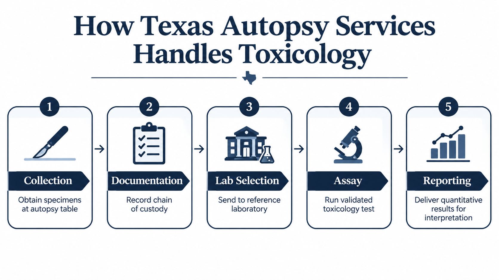 A five-step process flow diagram illustrating how Texas Autopsy Services manages forensic toxicology and specimen analysis.