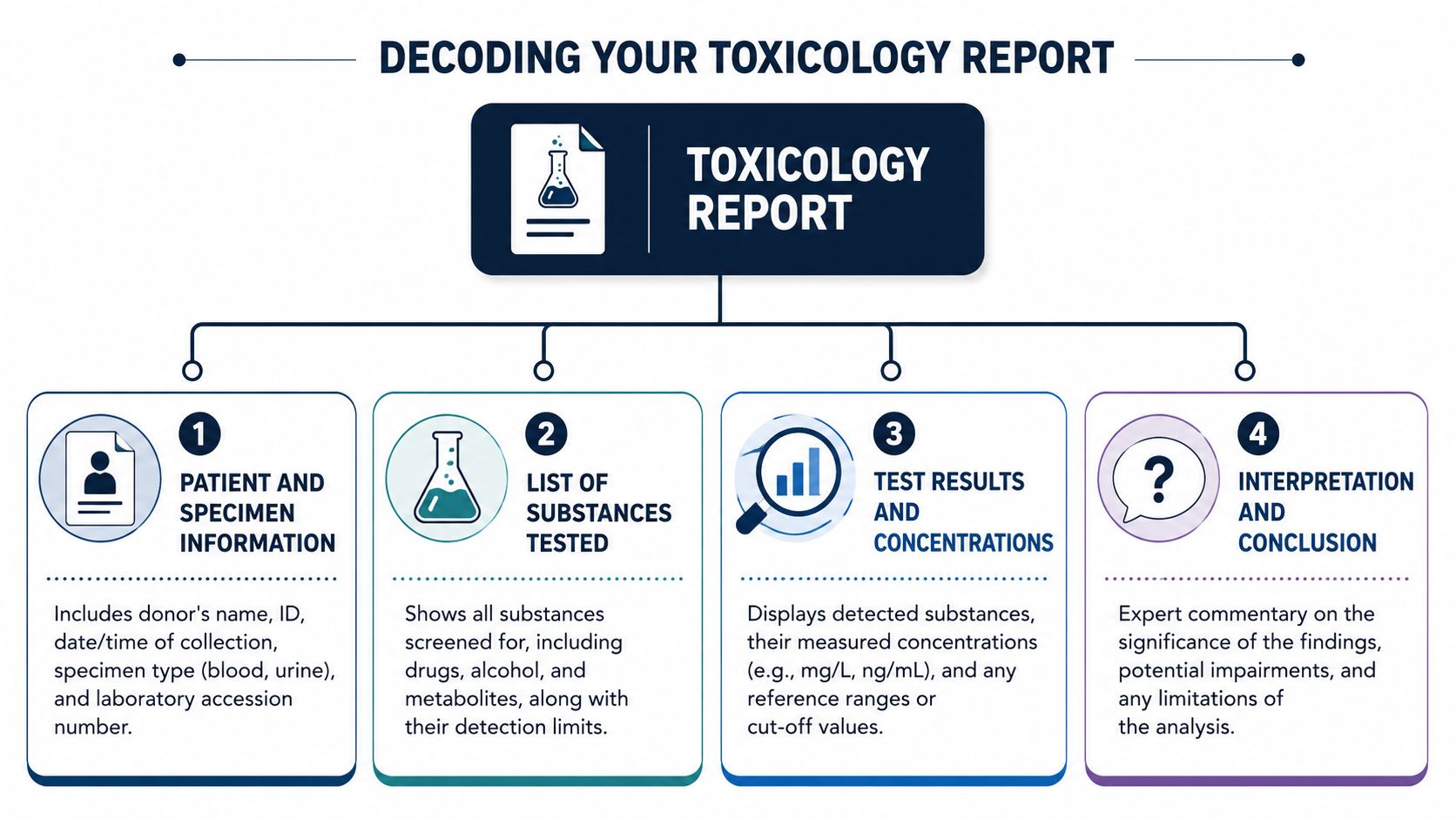 An infographic titled Decoding Your Toxicology Report explaining the four main sections of a lab toxicology document.